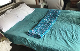 2002 Fleetwood RV Bounder 31W