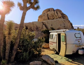 Scamp Scamp 13” with Bathroom