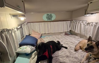 Wanda: 1969 Shasta 1600 Loflyte