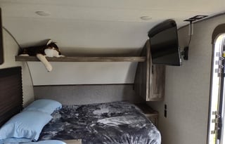 2020 Forest River "The Triplets Travel Trailer"