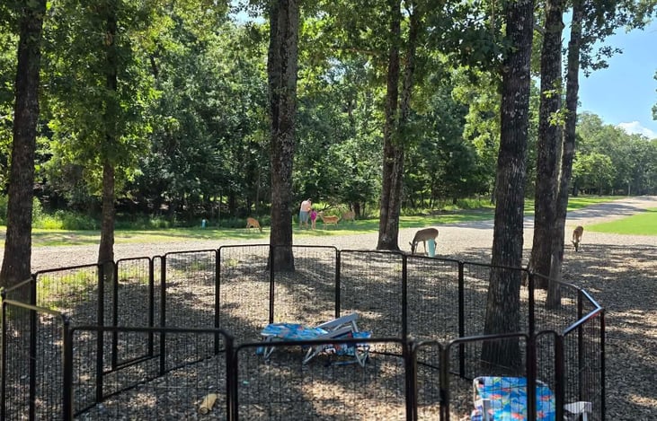 Pet fencing available as an add on.