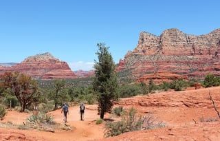 Class B Solis 59P: Nimble Class B Freedom