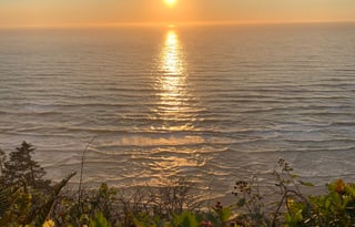 2018 Winnebago Travato 59G