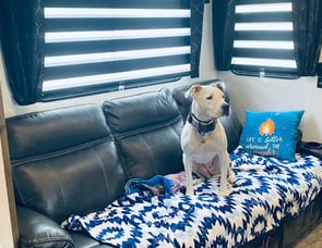 Forest River RV Cherokee Wolf Pack 365PACK16