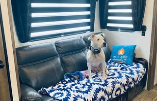 glam camping at its finest