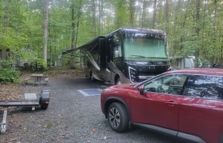 Baloo and Baxter's RV Getaway