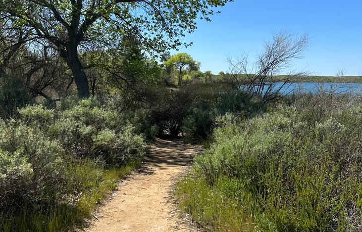 Great trails... love Lake Skinner!