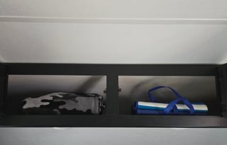 The Fraisers Pup - 2022 Wolf Pup 17JG