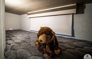 Small Outside HUGE inside! GeoPro Bunks with slide