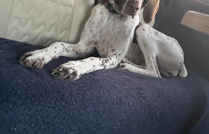 Panama City Beach renter trip.