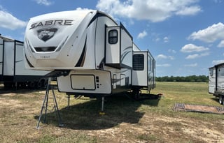 *DELIVERY ONLY* Sunny Sabre