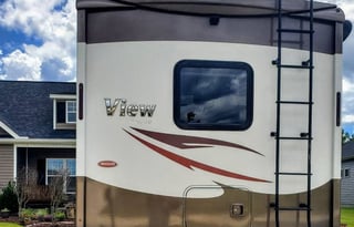 Fiona Chocolate - (good) dog friendly!