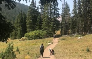 Fully Loaded Thor Sequence 2023 "Onyx"