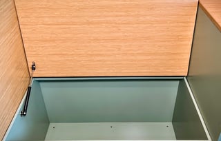 Scenic Vans' “The Whitney” - Unlimited Mileage