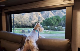 2020 Forest River RV Wildwood Heritage Glen 273RL