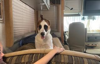 2004 Fleetwood RV Southwind 32VS