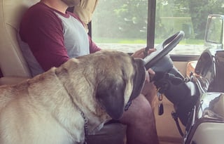 Renovated - WiFi, Pets, Jeep, Off-Grid, 24/7 Help