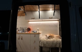 The Birch & Berry Van - Dodge Promaster 2500