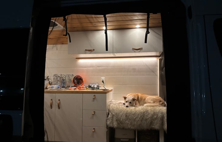 Rest easy in the BBV