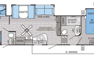 Fun and friendly family bird