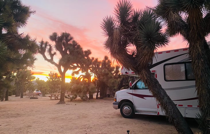 Joshua Tree National Park Camping