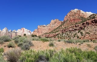 4WD REVEL "Rosie" UNLIMITED MILES Mighty 5 & More!