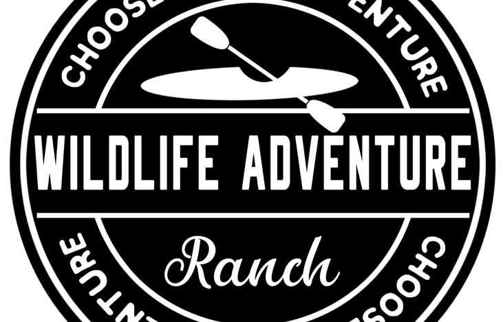 Google search to contact us directly