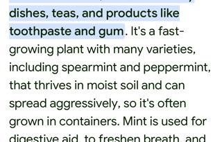 2021 Keystone RV Carbon 338