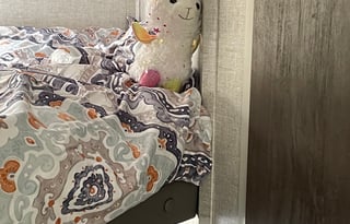 “Lucy” 2021 Forest River FSX