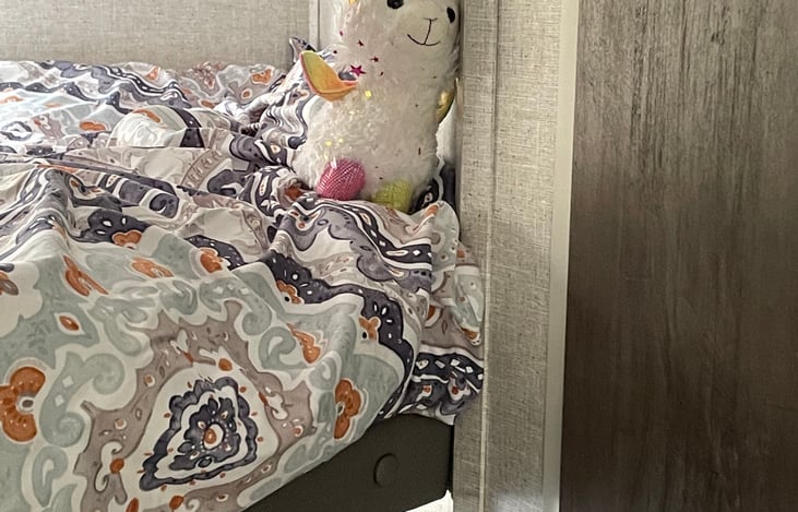 Another travel buddy