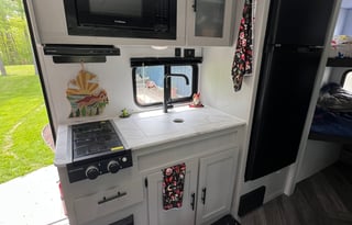 Fern the Forest River the Double Bunkhouse Camper