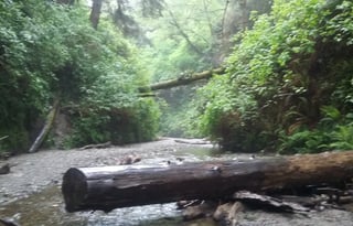 4WD All-Season "Judy" UNLIMITED MILES + Starlink