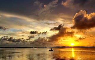 The Refuge ~ Stationary or Delivery in the FL Keys