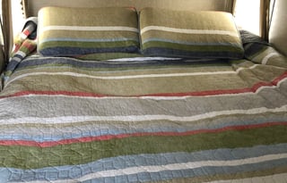 2018 Forest River Vibe