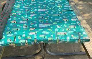 Eleanor - 2021 Winnebago Micro Minnie