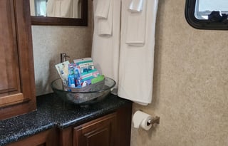 Adventure in Luxury - Forest River Georgetown XL