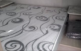 2022 Coleman The Switchback Switchback