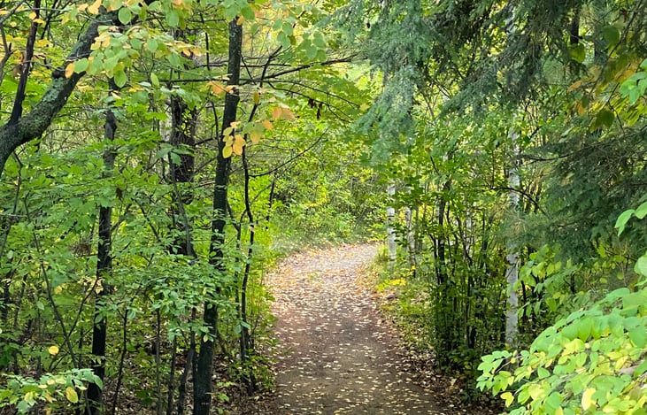 “Come to the woods, for here is rest. There is no repose like that of the green deep woods.”