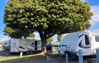 Family Fun on the Central Coast!