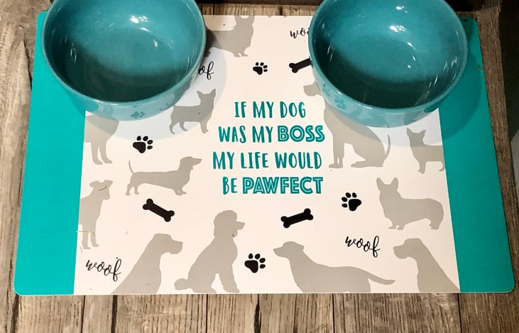 Bowls and Mat for the pup!