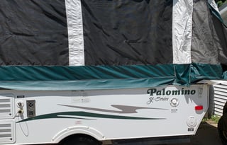 2010 palomino yearling y4103