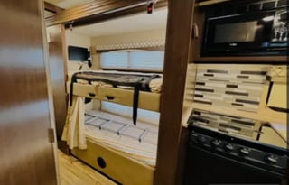 2019 Thor Motor Coach ACE 30.2