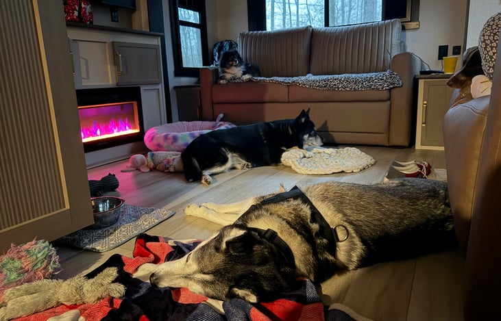 We hope your dogs love this camper as much as ours!