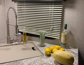 Dutchmen RV Coleman Light 2435RK