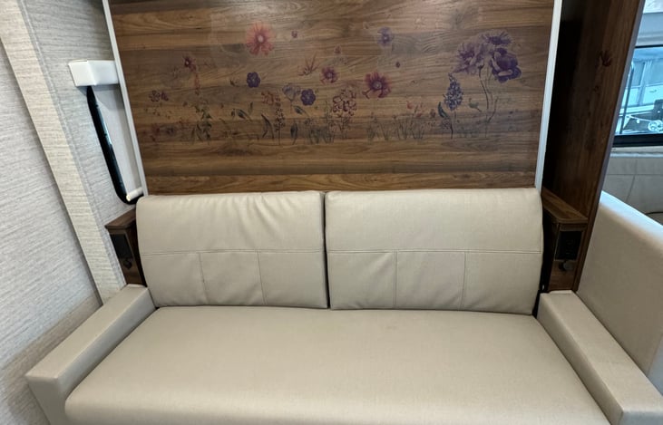 Couch with murphy bed in "upright" position behind it.