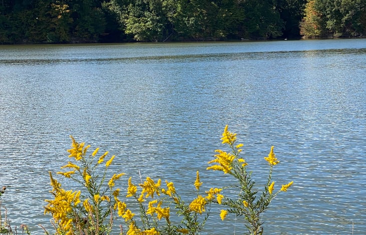 “I felt my lungs inflate with the onrush of scenery. Air, mountains, tree, people. I thought: this is what it is to be happy.” – Sylvia Plath