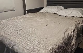 2022 Forest River Coachmen HAL1645