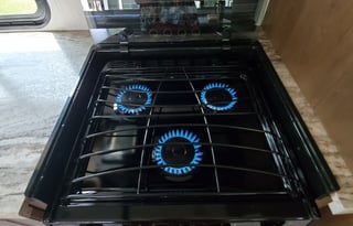 2021 Forest River RV FR3 30DS - "Missy"