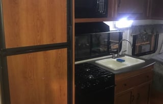 2011 Coachmen Freedom Express LTZ