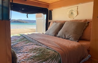 ProMoe Professionally Built Camper Van